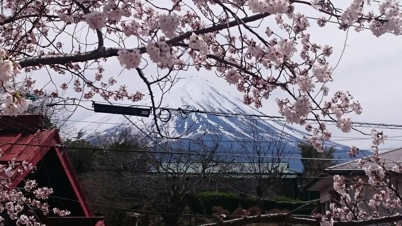 Villa Fuji Sakura House Fujikawaguchiko Exterior foto